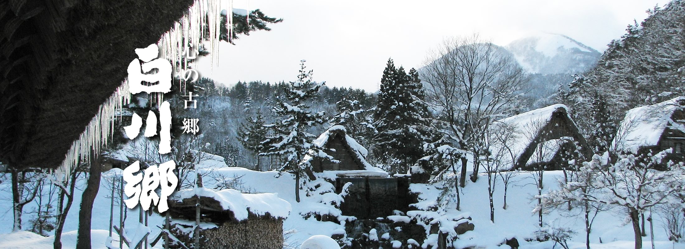 白川郷 野外博物館 合掌造り民家園 白川郷 野外博物館 合掌造り民家園