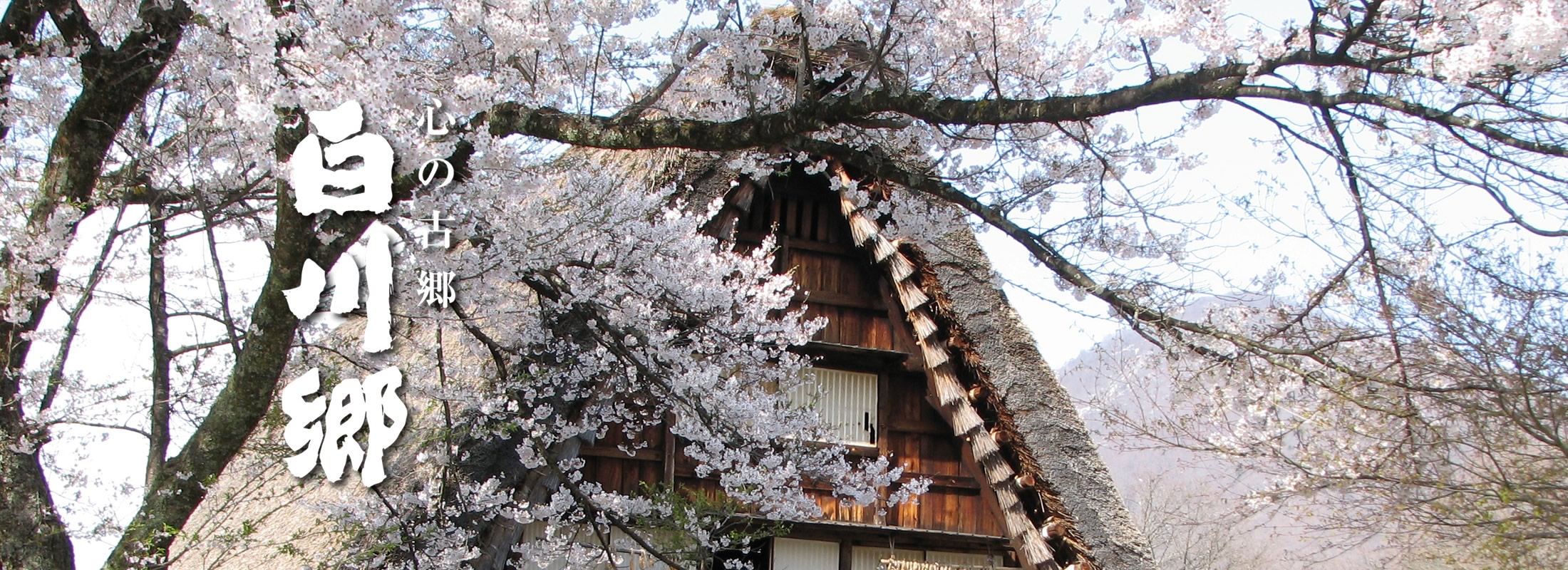 白川郷 野外博物館 合掌造り民家園 白川郷 野外博物館 合掌造り民家園