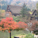 Autumn foliage