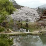 Pond in Spring