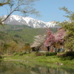 Murase Tadamasa House in Spring