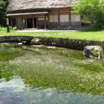 Nakano Yoshimori House in Summer