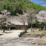 Nakano Chojiro House in Spring