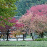 Nakano Chojiro House in Autumn