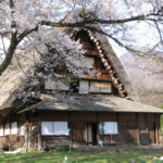 Nakano Chojiro House and cherry blossom