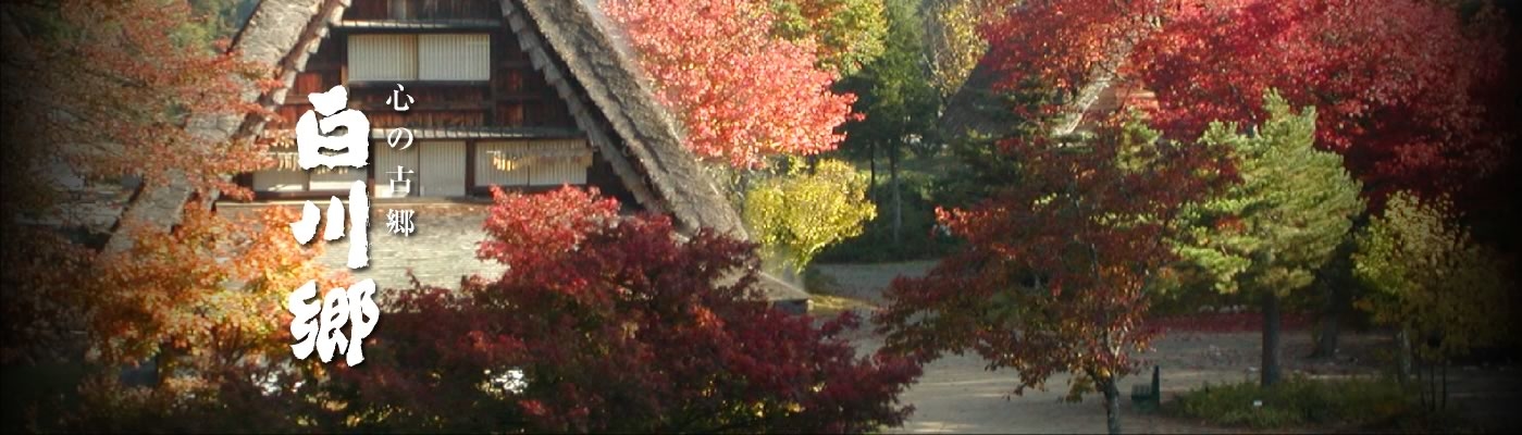 白川郷 野外博物館 合掌造民家園 白川郷 野外博物館 合掌造民家園